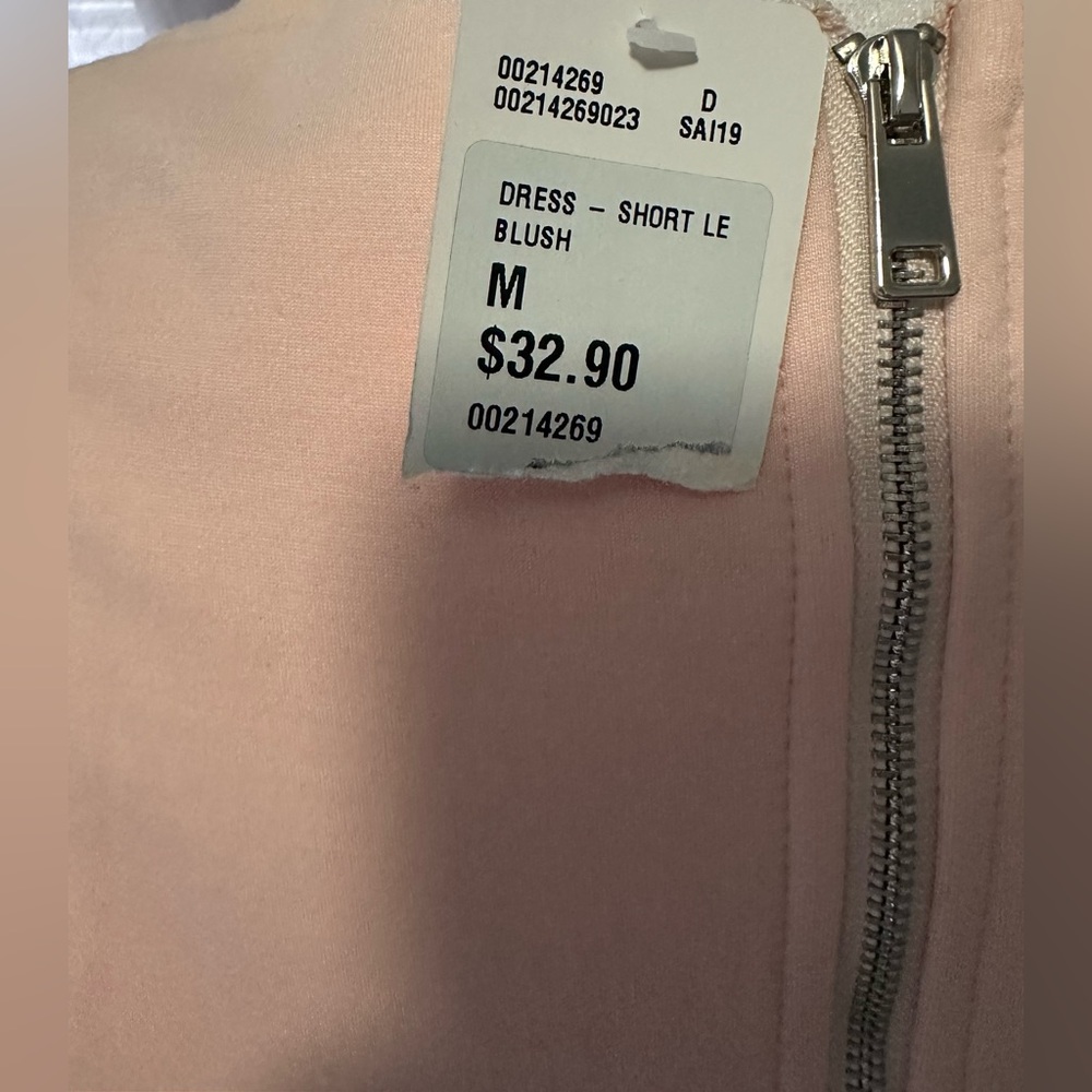 Forever 21 Mesh Floral Midi Dress in Soft Pink - Picture 5 of 6